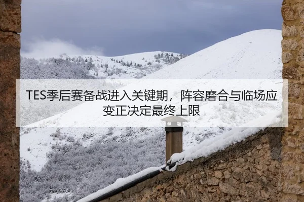 TES季后赛备战进入关键期，阵容磨合与临场应变正决定最终上限