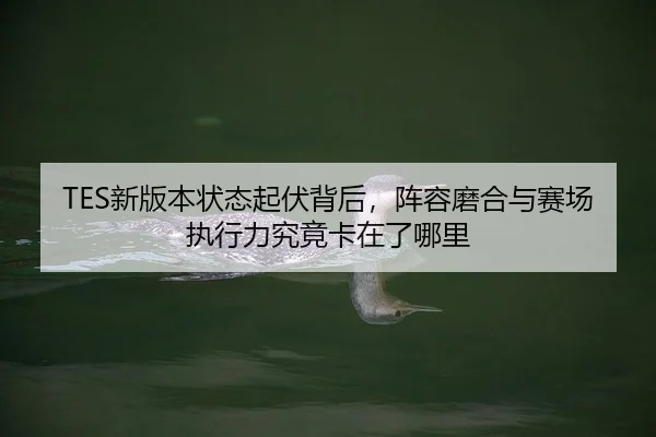TES新版本状态起伏背后，阵容磨合与赛场执行力究竟卡在了哪里